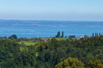 Aussicht auf den Bodensee